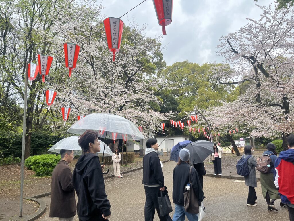 2026年4月4日在日潮汕人聚餐及樱花活动插图