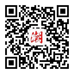价值引力场VGF公众号插图